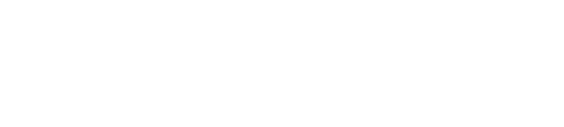 Zylo